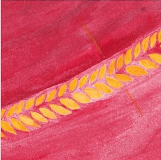 Shades I - Red Wheat