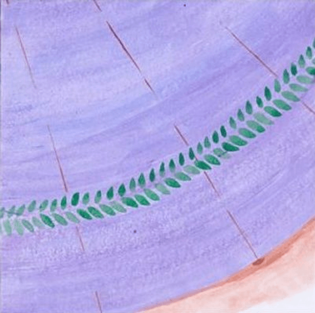 Shades I - Lavender Purple